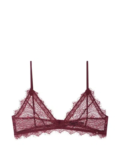 Anine Bing Lace-trim Bra In Brown