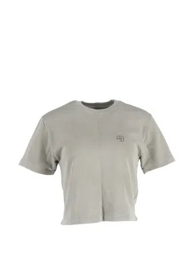 Pre-owned Anine Bing Logo-detail Top In Gray
