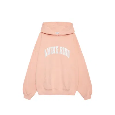 Anine Bing Logo-embroidered Cotton Hoodie In Multi