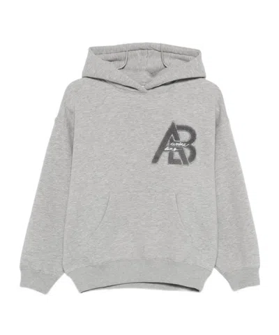 Anine Bing Long-sleeved Hooded Sweatshirt In Gray