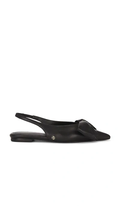 Anine Bing Bow-detail Ballet Flats In Black