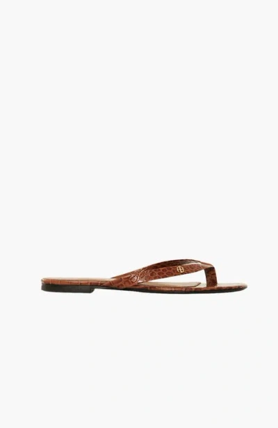 Anine Bing Noelle Thong Sandals In Brown