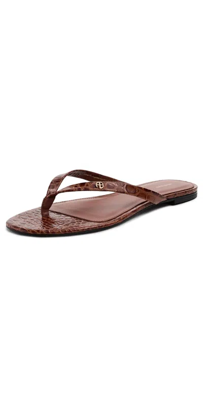 Anine Bing Noelle Thong Sandals Embossed Brown