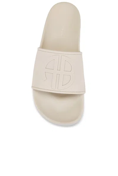 Anine Bing Open-toe Slippers In Brown