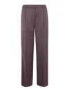 Anine Bing Pants In Brown