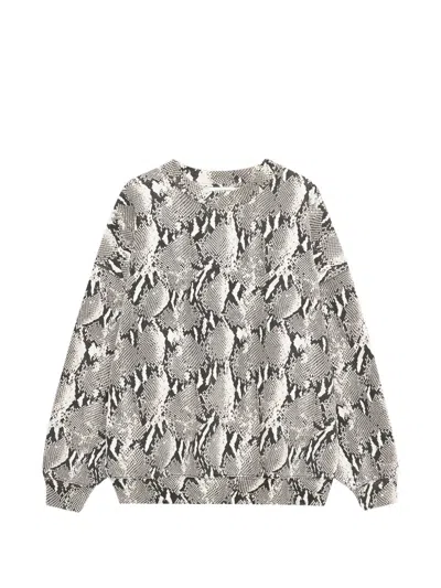 Anine Bing Sweatshirt Aus Pythonleder In Multi