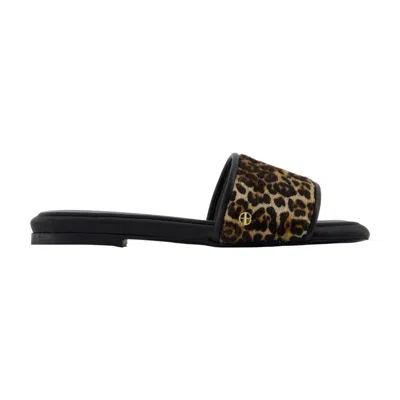 Anine Bing Ria Sandals In Black