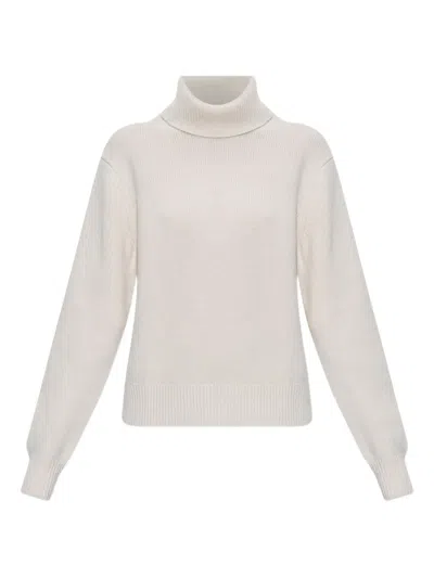 Anine Bing Roll-neck Sweater In Neutral