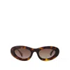 Anine Bing Roma Sunglasses - Kate Moss Campaign -  - Acetate - Brown In Brown
