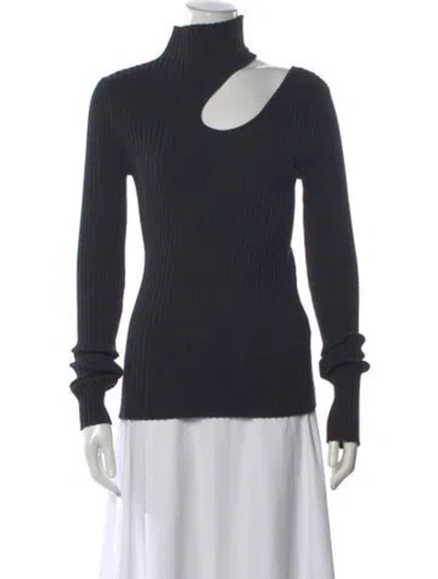 Pre-owned Anine Bing Turtleneck Long Sleeve Top In Gray