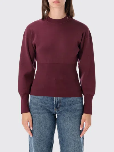 Anine Bing Viscose-blend Crewneck Jumper With Ribbed Trims In Brown