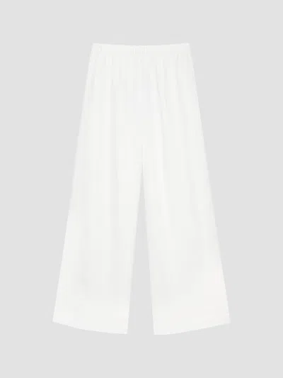 Anine Bing Crinkled Aden Trousers In Neutral