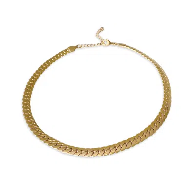 Anisa Sojka Women's Gold Compact Link Necklace