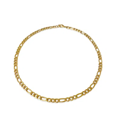 Anisa Sojka Women's Gold Dainty Curb Chain Necklace