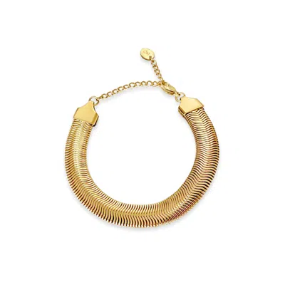 Anisa Sojka Flat Snake Bracelet In Gold