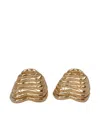 Anita Berisha Fluted Shell Earrings In Neutral