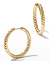 ANITA KO 18K YELLOW GOLD ZOE BRAIDED HOOP EARRINGS