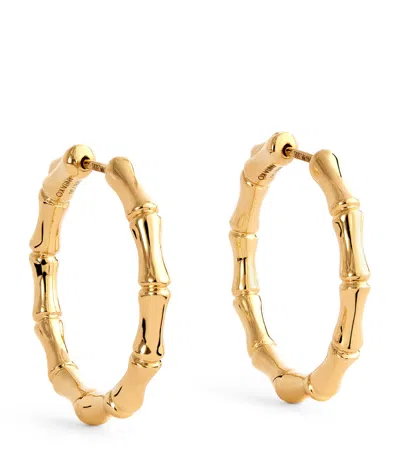 Anita Ko Yellow Gold Bamboo Hoop Earrings