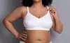 Anita Miss Cotton Nursing Bra In White In White