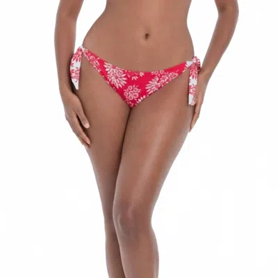 Anita Myra Bikini Bottom In Cranberry In Red