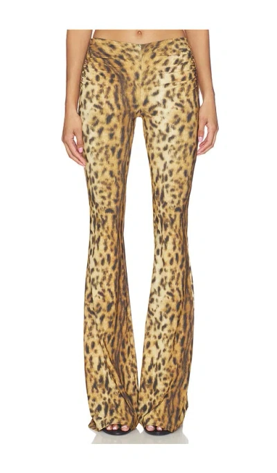 Aniye By Eva Pant In Yellow