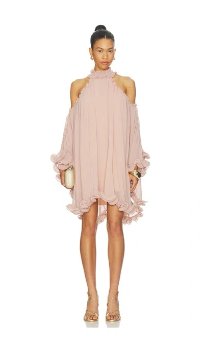 Aniye By Tessa Mini Dress In Pink