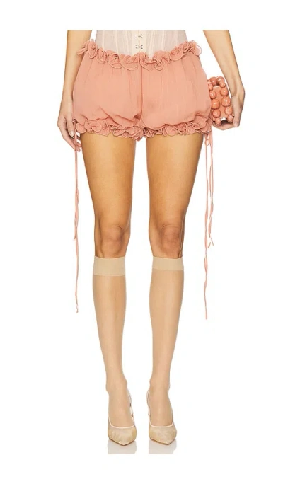 Aniye Records Andy Balloon Shorts In Blush