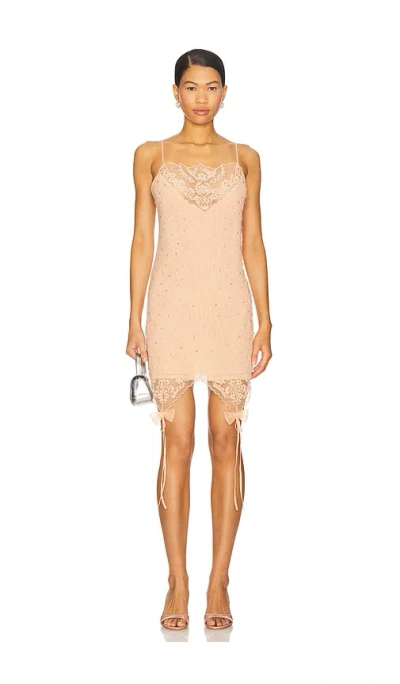 Aniye Records Eliza Sottoveste Dress In Pink
