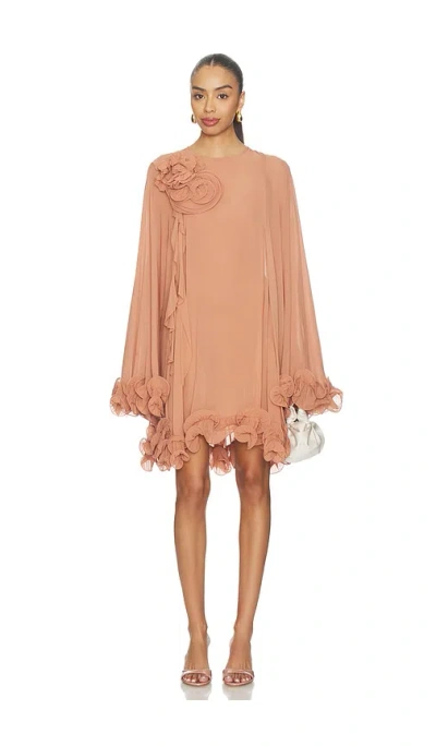 Aniye Records Gaby Babydolly In Brown