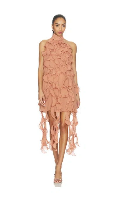 Aniye Records Gaby Ruffle Dress In Brown