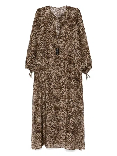 Anjuna Leopard Print Naomi Maxi Dress In Brown