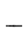 Ann Demeulemeester Logo Belt In Black