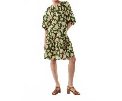 Ann Mashburn Allegra Dress In Green/ Natural Shadow Floral Seersucker