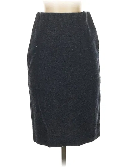 Pre-owned Ann Mashburn Casual Skirt In Blue