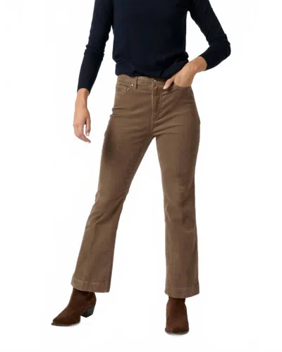 Ann Mashburn Kendall Flare 5-pocket Jean In Mink Stretch Cord