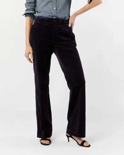Ann Mashburn Lindy Velvet Trouser Pants In Eggplant In Black