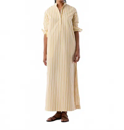 Ann Mashburn Mandarin Talitha Stripe Poplin Shirtdress In Gold/ivory In Multi