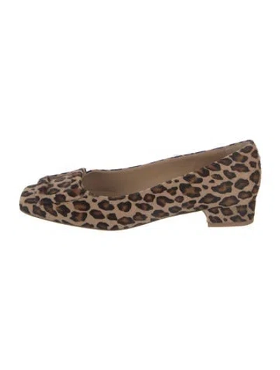 Pre-owned Ann Mashburn Ponyhair Animal Print Ballet Flats In Neutrals