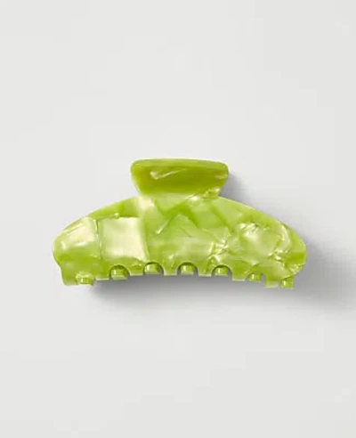 Ann Taylor Acetate Claw Clip In Green