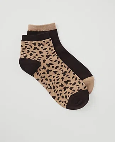 Ann Taylor Animal Print Ankle Sock Set In French Mocha