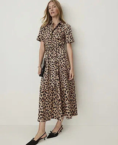 Ann Taylor Animal Print Collared Midi Shirtdress In Brown