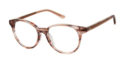 Ann Taylor At343 C02 Women's Glasses Brown Size 49 - Free Lenses - Blue Light Block Available In Metallic