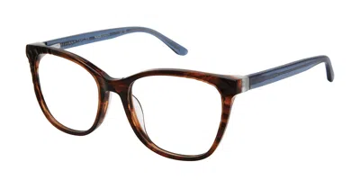 Ann Taylor At347 C01 Women's Glasses Brown Size 52 - Free Lenses - Blue Light Block Available In Orange