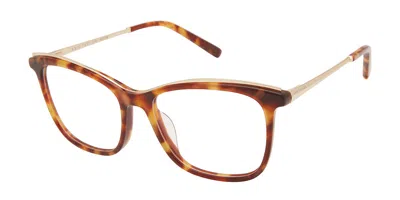 Ann Taylor Atp817 C02 Women's Glasses Tortoiseshell Size 49 - Free Lenses - Blue Light Block Available In Brown