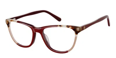 Ann Taylor Atp823 C02 Women's Glasses Brown Size 50 - Free Lenses - Blue Light Block Available