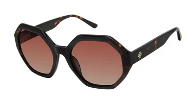 Ann Taylor Atp923 Polarized C01 Women's Sunglasses Tortoiseshell Size 52 In Orange