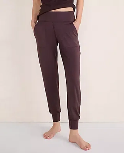 Ann Taylor Balance 1.0 Jogger In Brown
