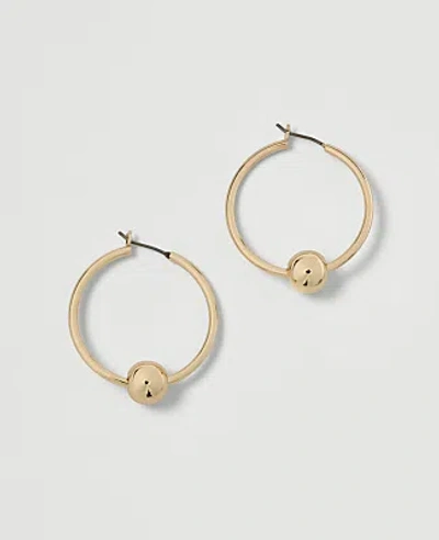 Ann Taylor Ball Hoop Earrings In Goldtone