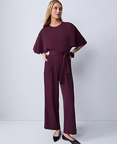 Ann Taylor Belted Crew Neck Jumpsuit In Purple