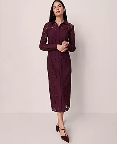 Ann Taylor Belted Lace Midi Shirtdress In Purple